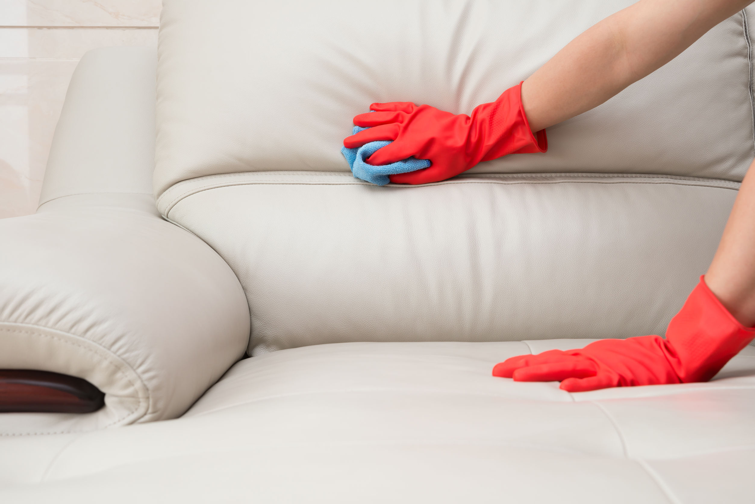 Sociaal Trots Medicinaal Como limpar o seu sofá
